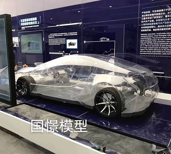 利辛县透明车模型